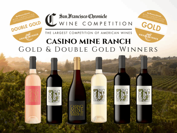A collection of 6 wines, 1 white, 1 rose and 4 reds that were the Gold medal winners of the 2026 San Francisco Chronicle Wine Competition.
