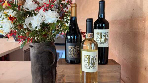Casino Mine Ranch Winery's three bottles of wine next to a rustic flower vase showcasing the wines 2023 Simone, 2022 Tempranillo and 2024 Vermentino.
